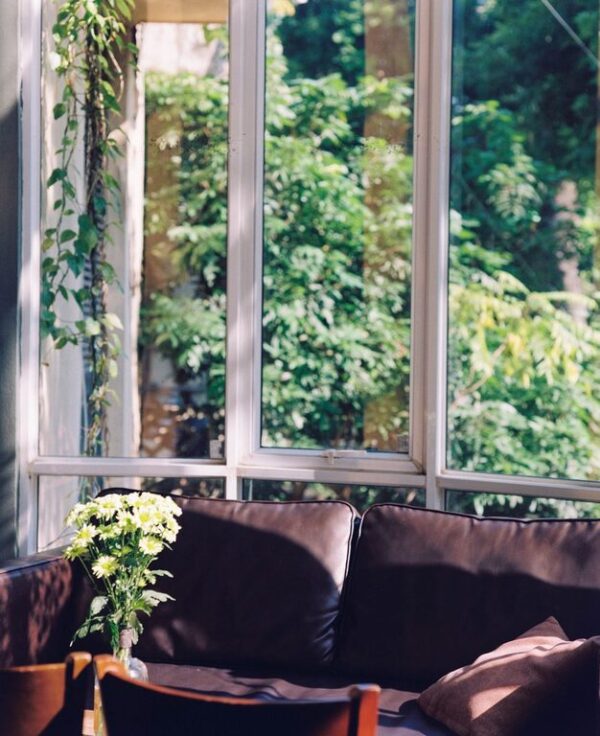 Tips for Creating a Cozy and Inviting Living Space on Any Budget
